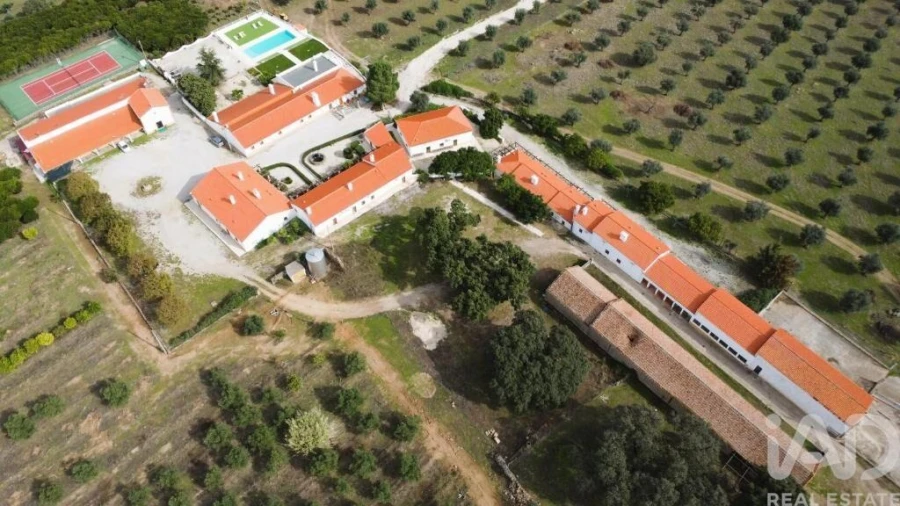 Quinta T25 para Venda em Nossa Senhora da Graça de Povoa e Meadas Foto 10