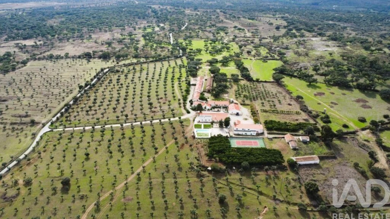 Quinta T25 para Venda em Nossa Senhora da Graça de Povoa e Meadas Foto 13