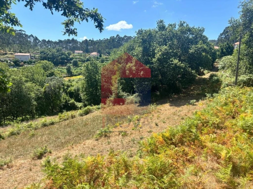 Terreno para Venda em Pico de Regalados, Gondiães e Mós Foto 3