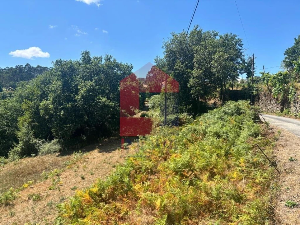 Terreno para Venda em Pico de Regalados, Gondiães e Mós Foto 5