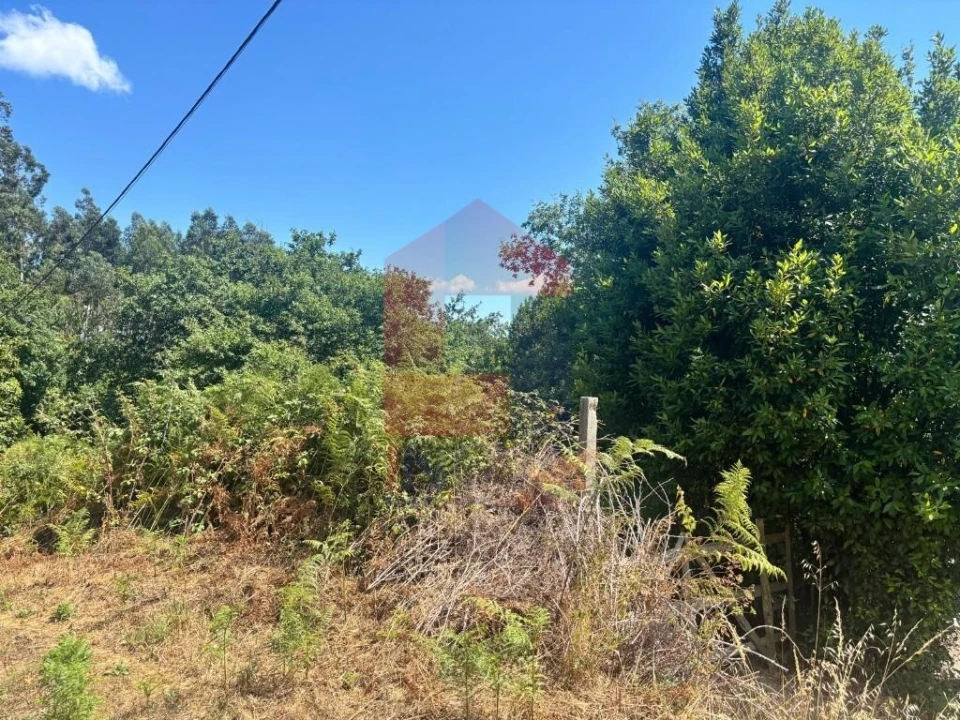 Terreno para Venda em Pico de Regalados, Gondiães e Mós Foto 14
