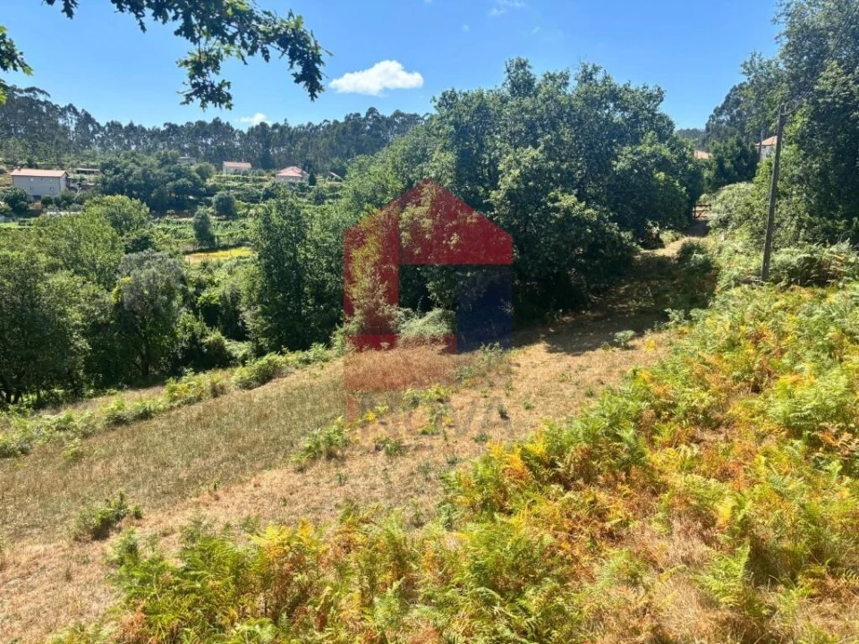 Terreno para Venda em Pico de Regalados, Gondiães e Mós Foto 7