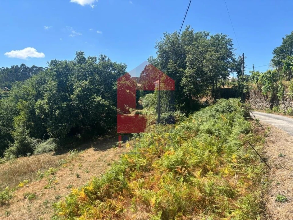 Terreno para Venda em Pico de Regalados, Gondiães e Mós Foto 17