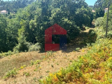 Terreno para Venda em Pico de Regalados, Gondiães e Mós