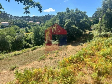 Terreno para Venda em Pico de Regalados, Gondiães e Mós