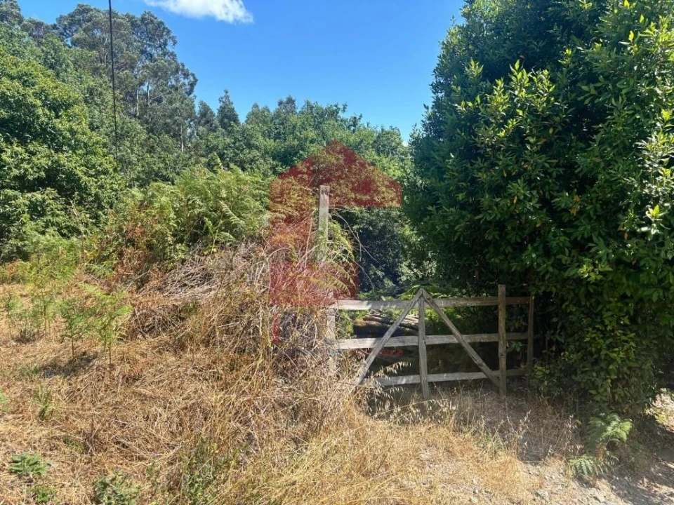 Terreno para Venda em Pico de Regalados, Gondiães e Mós Foto 15