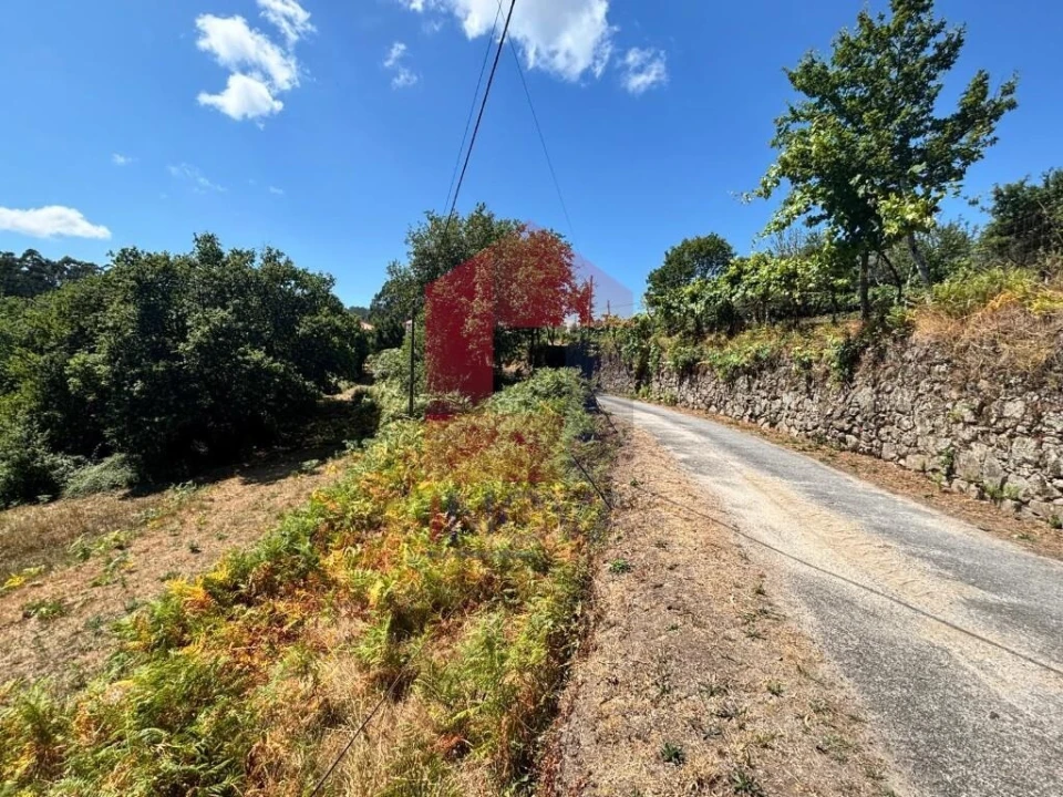 Terreno para Venda em Pico de Regalados, Gondiães e Mós Foto 20