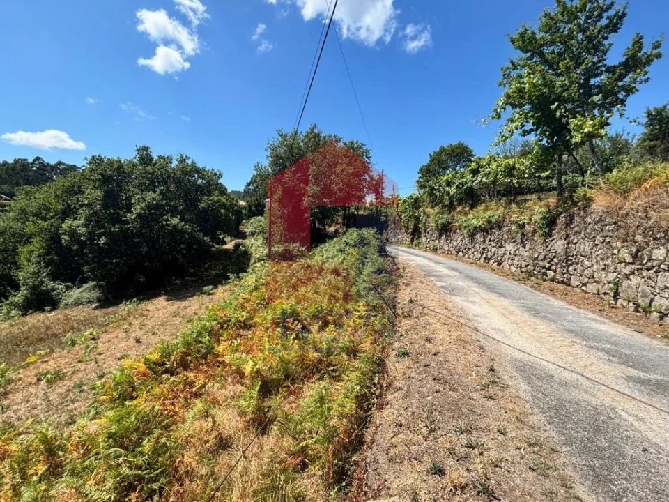 Terreno para Venda em Pico de Regalados, Gondiães e Mós Foto 21