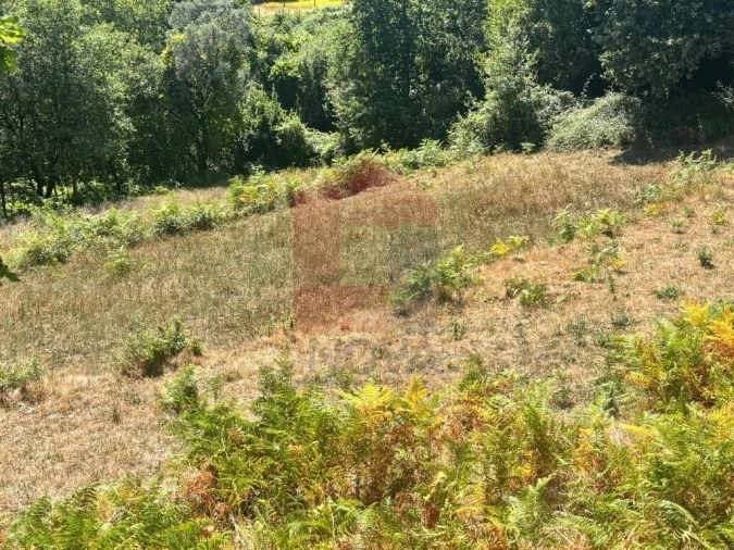 Terreno para Venda em Pico de Regalados, Gondiães e Mós Foto 10