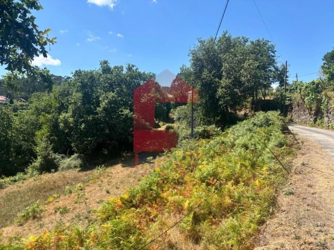 Terreno para Venda em Pico de Regalados, Gondiães e Mós Foto 2