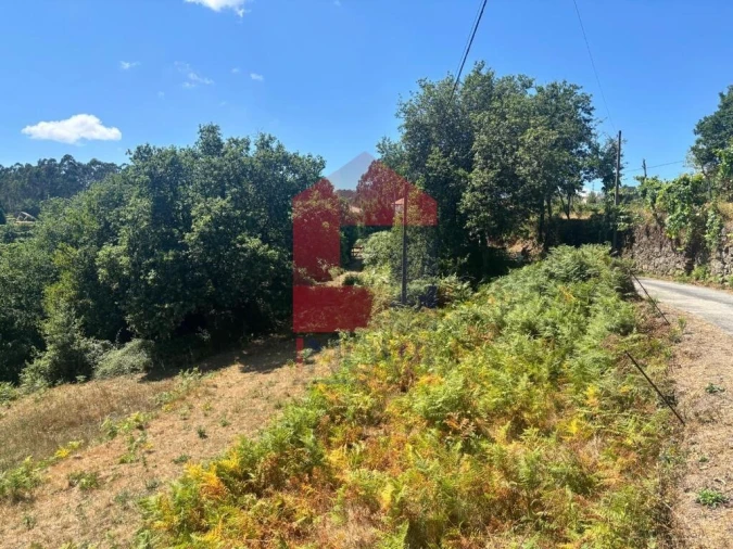 Terreno para Venda em Pico de Regalados, Gondiães e Mós Foto 5