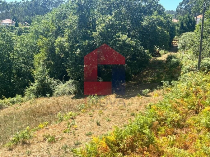 Terreno para Venda em Pico de Regalados, Gondiães e Mós Foto 9