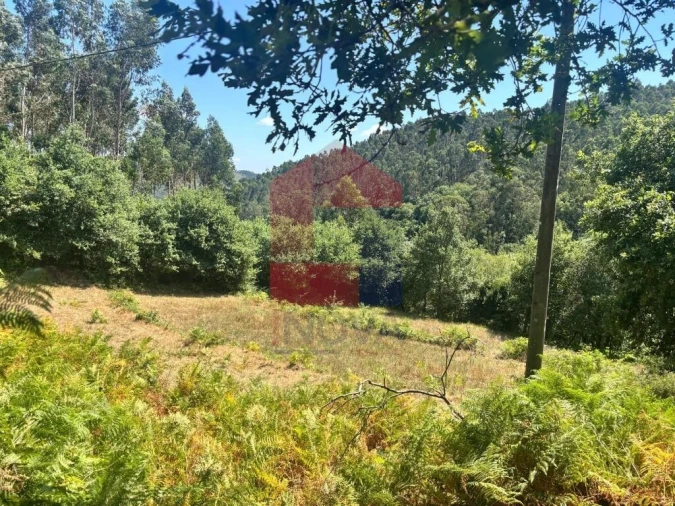 Terreno para Venda em Pico de Regalados, Gondiães e Mós Foto 12