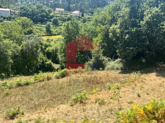 Terreno para Venda em Pico de Regalados, Gondiães e Mós Foto 6