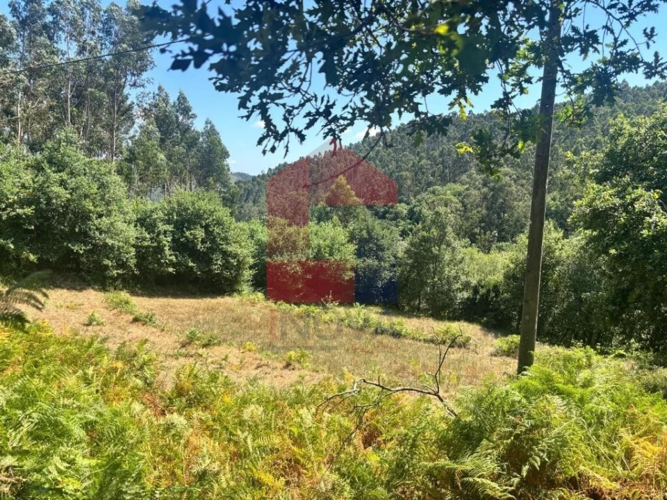 Terreno para Venda em Pico de Regalados, Gondiães e Mós Foto 8