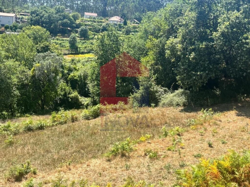 Terreno para Venda em Pico de Regalados, Gondiães e Mós Foto 6