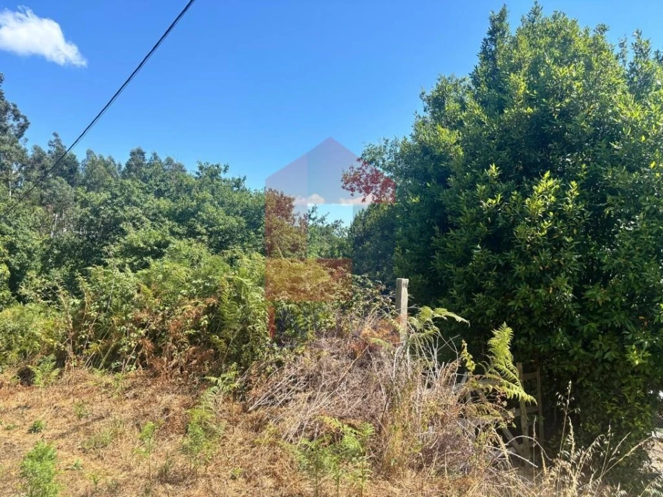 Terreno para Venda em Pico de Regalados, Gondiães e Mós Foto 13