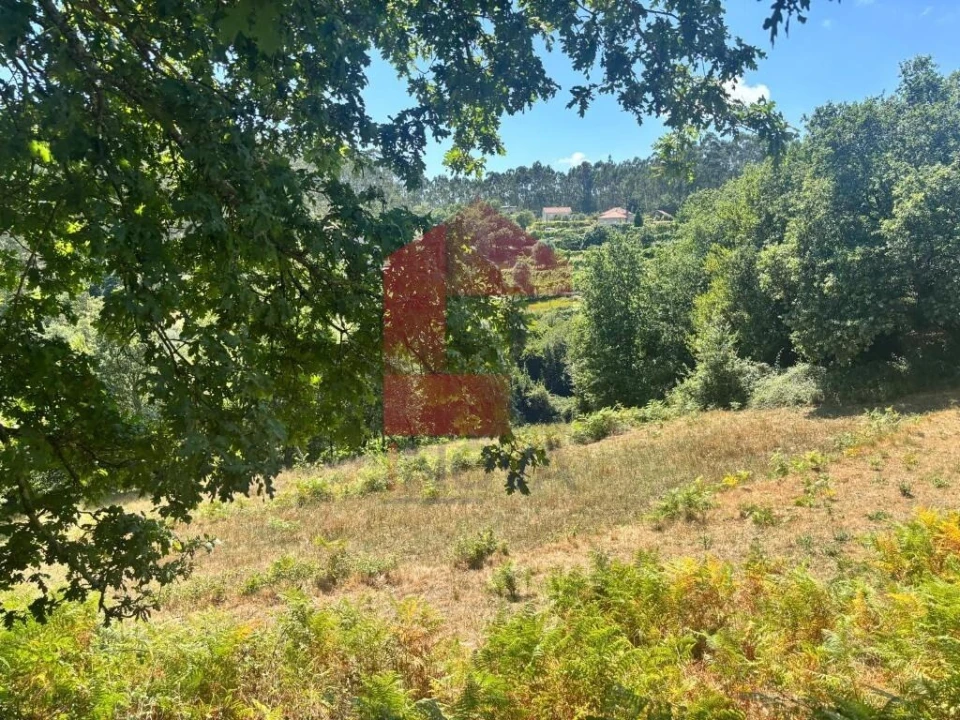 Terreno para Venda em Pico de Regalados, Gondiães e Mós Foto 4