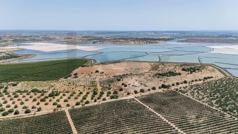 Quinta T5 para Venda em Castro Marim