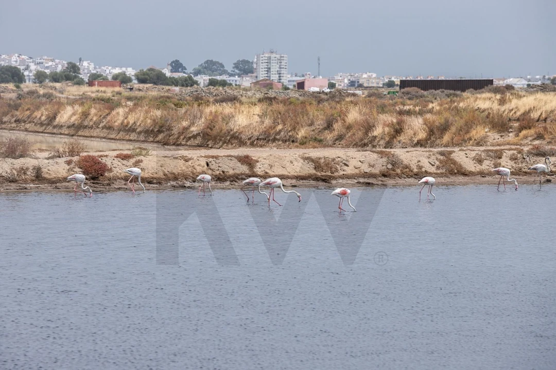 Quinta T5 para Venda em Castro Marim Foto 24