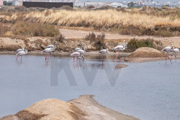 Quinta T5 para Venda em Castro Marim Foto 25