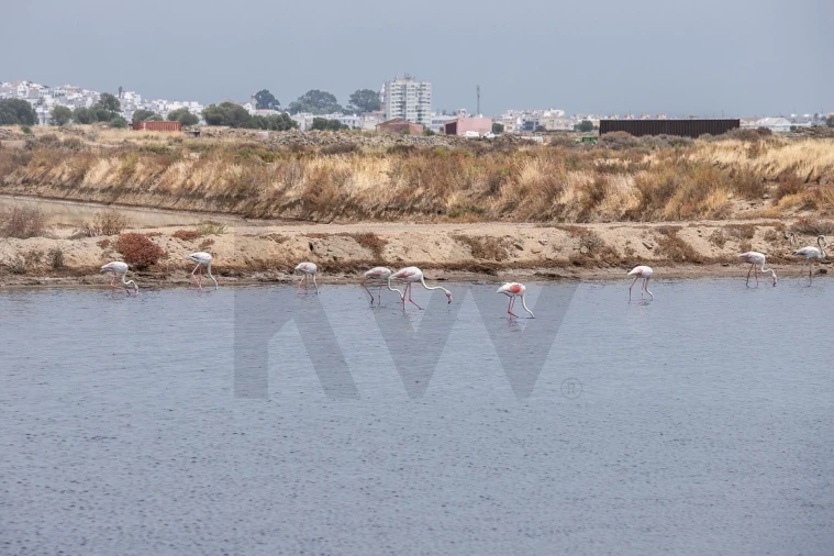 Quinta T5 para Venda em Castro Marim Foto 24