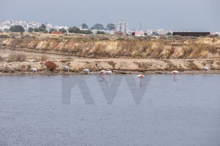 Quinta T5 para Venda em Castro Marim Foto 23
