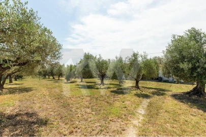 Moradia T6 para Venda em Povoa da Isenta