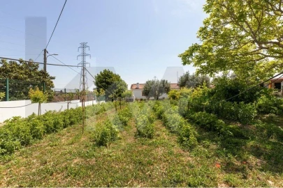 Moradia T6 para Venda em Povoa da Isenta