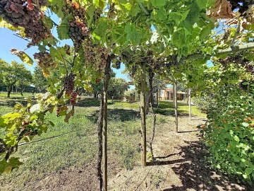 Moradia T6 para Venda em Povoa da Isenta