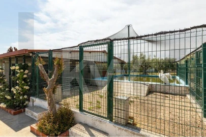 Moradia T6 para Venda em Povoa da Isenta