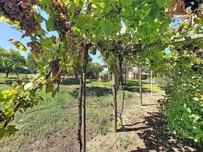 Moradia T6 para Venda em Povoa da Isenta Foto 33