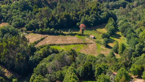 Quinta T3 para Venda em Cabeceiras de Basto