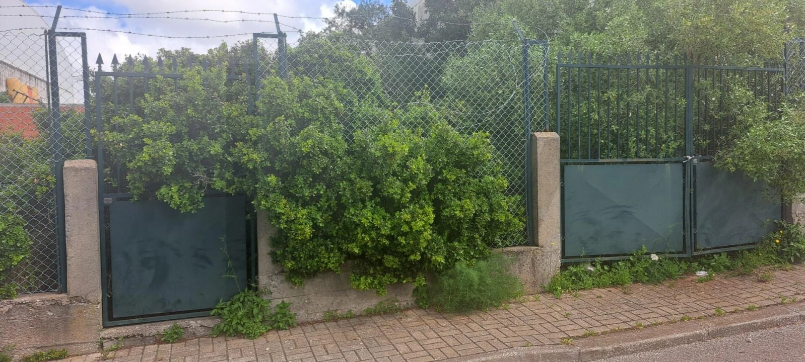 Terreno para Venda em São Domingos de Rana Foto 2