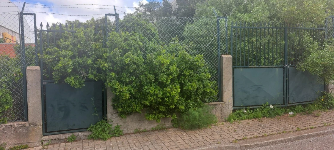 Terreno para Venda em São Domingos de Rana Foto 2