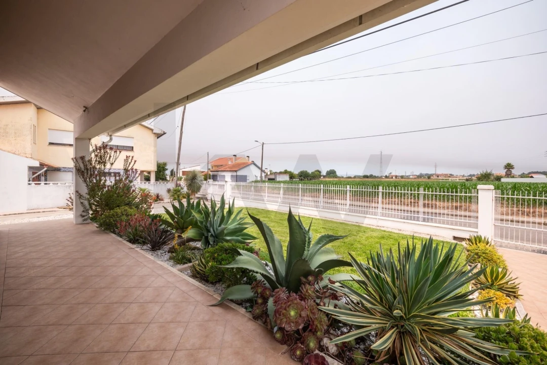Moradia T5 para Venda em Ílhavo (São Salvador) Foto 6