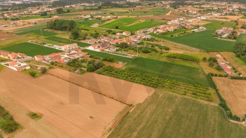 Moradia T5 para Venda em Ílhavo (São Salvador)