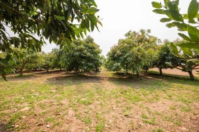 Moradia T5 para Venda em Ílhavo (São Salvador)
