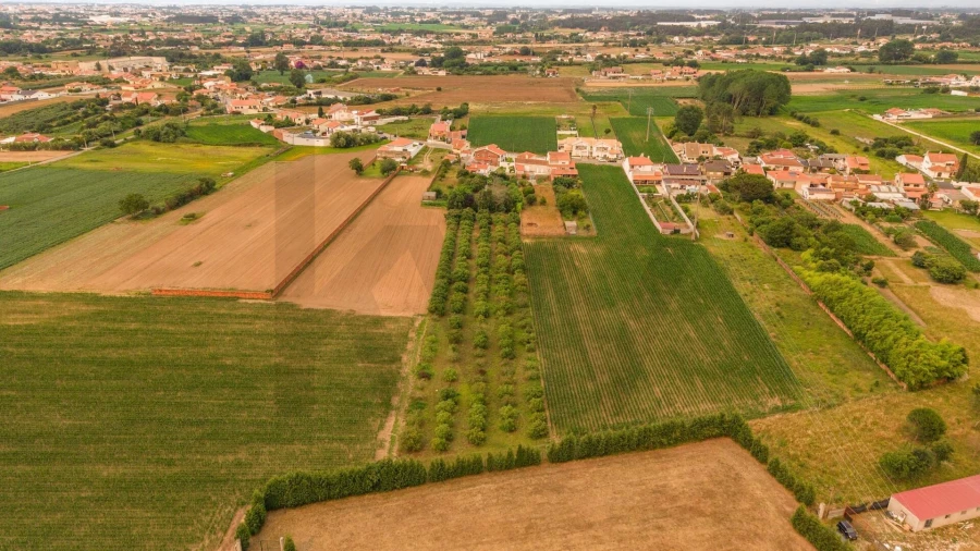 Moradia T5 para Venda em Ílhavo (São Salvador) Foto 68