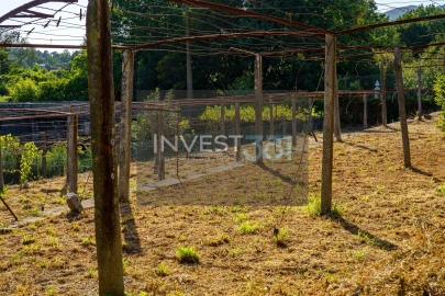 Moradia para Venda em Covas