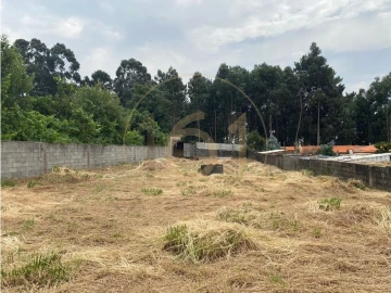 Terreno para Venda em Madalena
