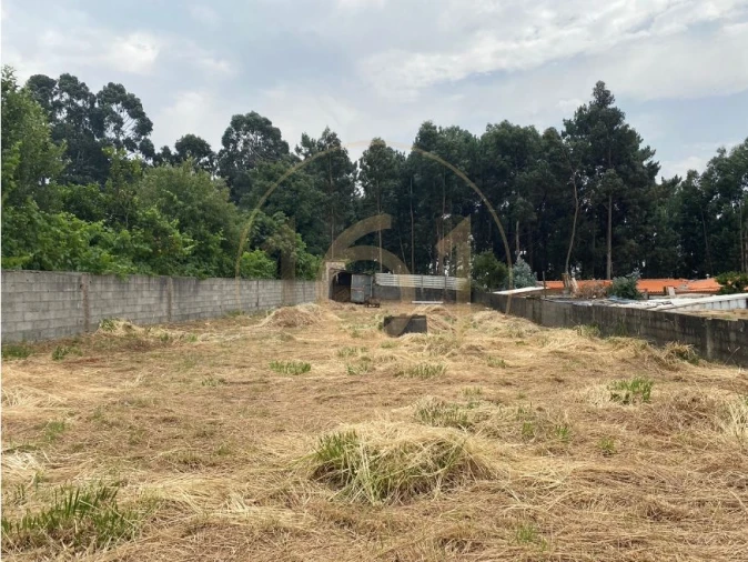 Terreno para Venda em Madalena Foto 4
