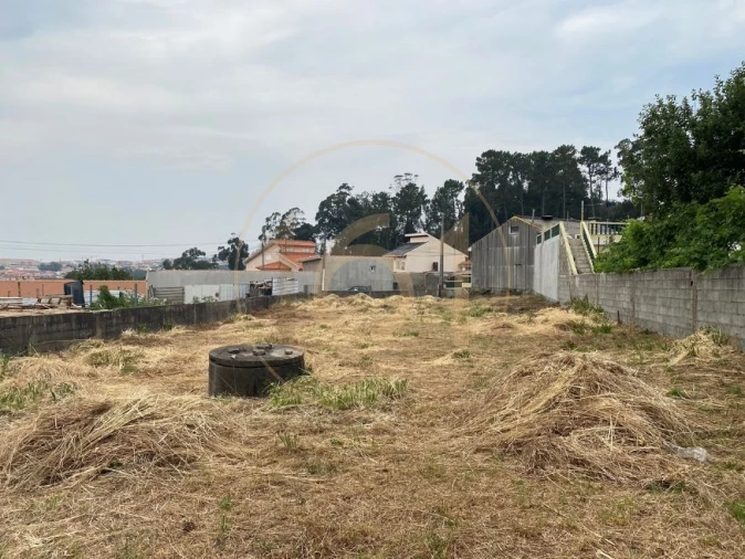 Terreno para Venda em Madalena Foto 5
