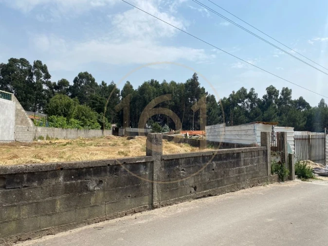 Terreno para Venda em Madalena Foto 6