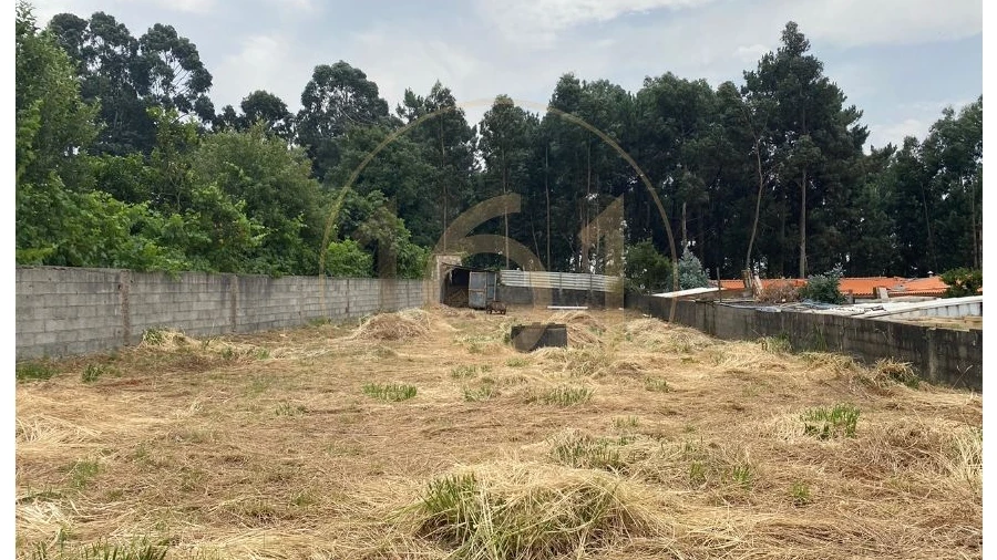 Terreno para Venda em Madalena