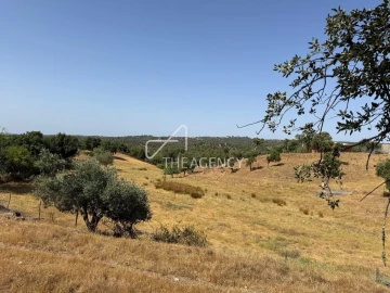 Terreno para Venda em Melides