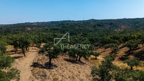 Terreno para Venda em Melides