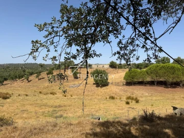 Terreno para Venda em Melides