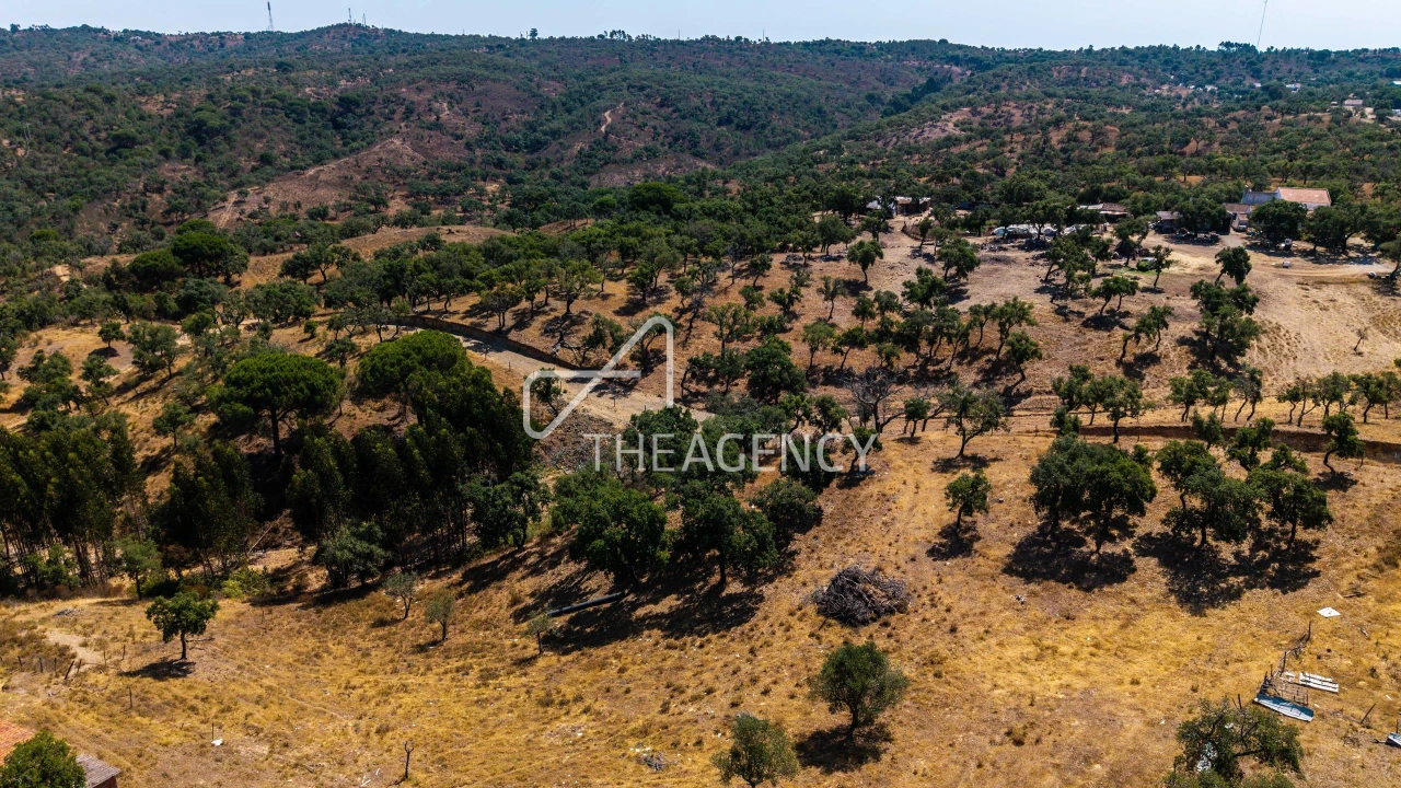 Terreno para Venda em Melides Foto 5