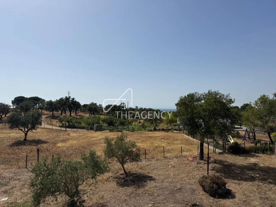 Terreno para Venda em Melides Foto 18